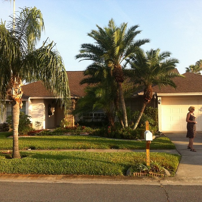 Среднестатистический Флоридский дом