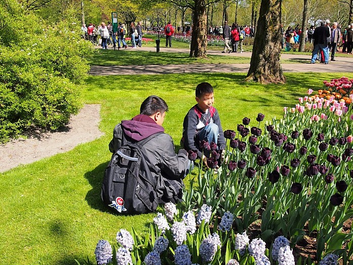 Как мы посетили самый известный парк тюльпанов Keukenhof