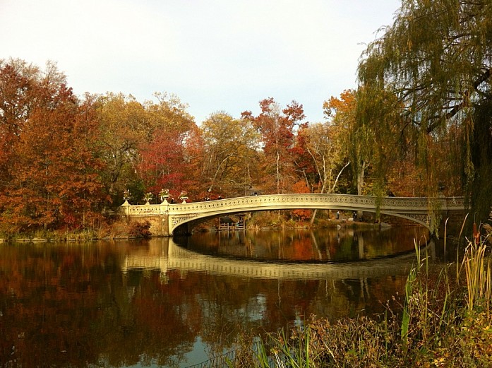 Осень в Центральном парке