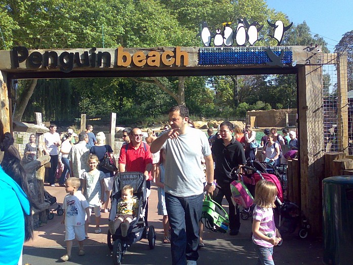 В зоопарке Лондона &nbsp;в дни моего приезда, был открыт новый пингвиний пляж.