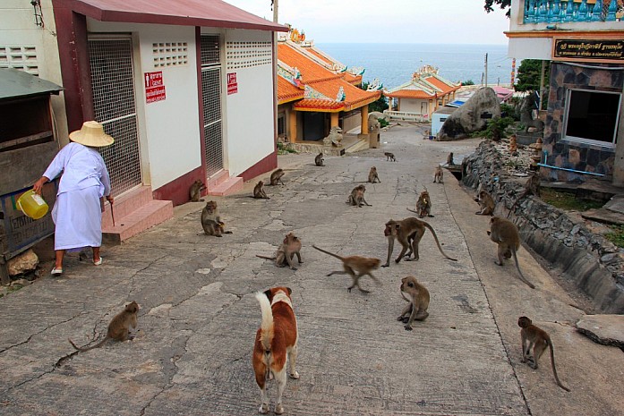 Гора обезьян в Хуа Хине
