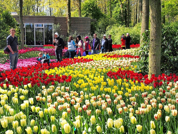 Как мы посетили самый известный парк тюльпанов Keukenhof
