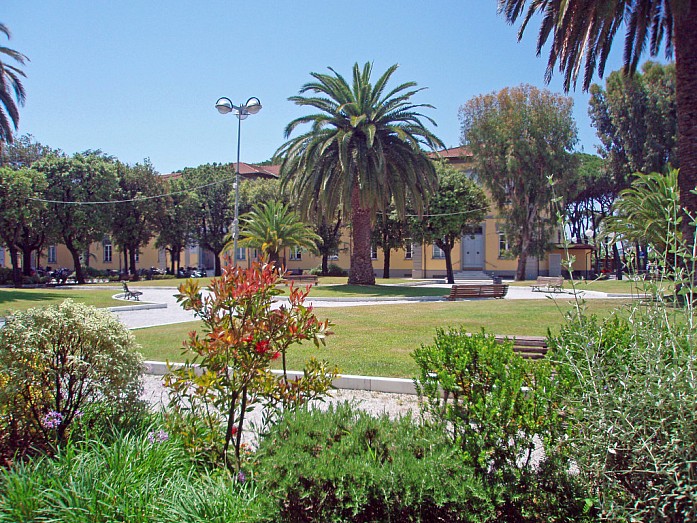 Парк в центре